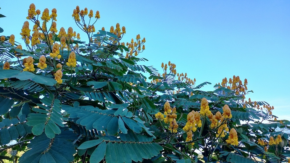 Brand New Mountain Home With Sunset Ocean Views in Tinamastes selected