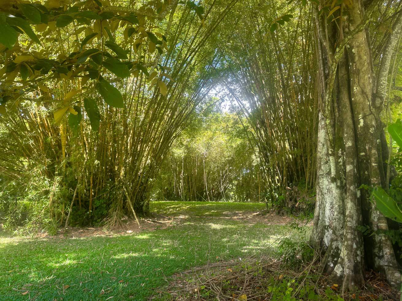 3.7-Acre Airport-Adjacent Property with Direct Runway Access, Prime Zoning, and Mountain Views selected