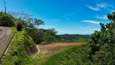 Spectacular Jungle Estate Property with Panoramic Ocean Views image 4