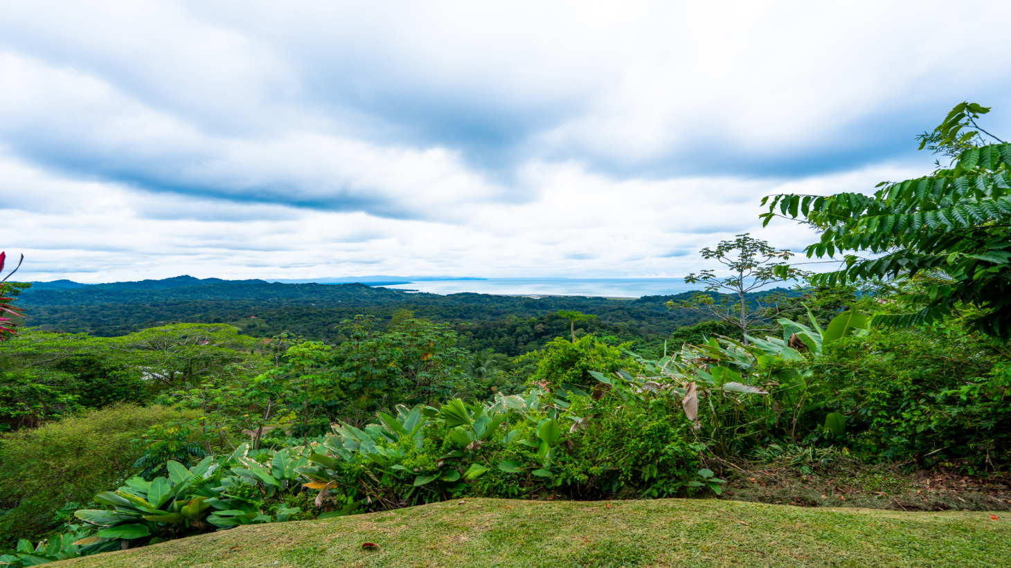 Luxury Ocean-View Estate with Infinity Pool, Main House & Guest House, Ojochal selected