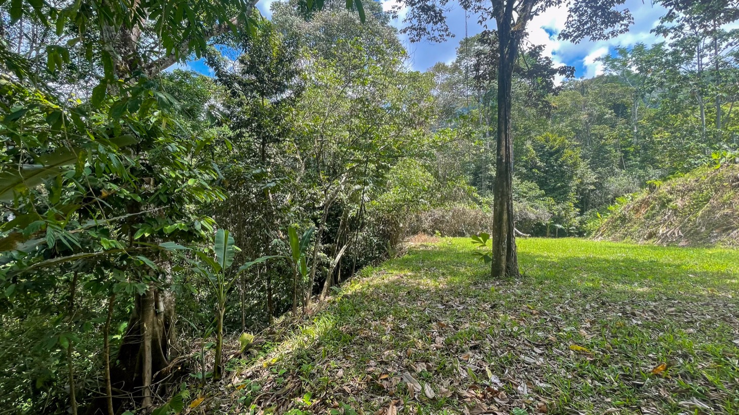 Land for Sale Near Ojochal, Costa Rica – Lot with Water & Electricity Near El Pavón Waterfall selected