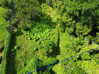 Spectacular Ocean View Lot in Ojochal (Calle Tucan) image 4