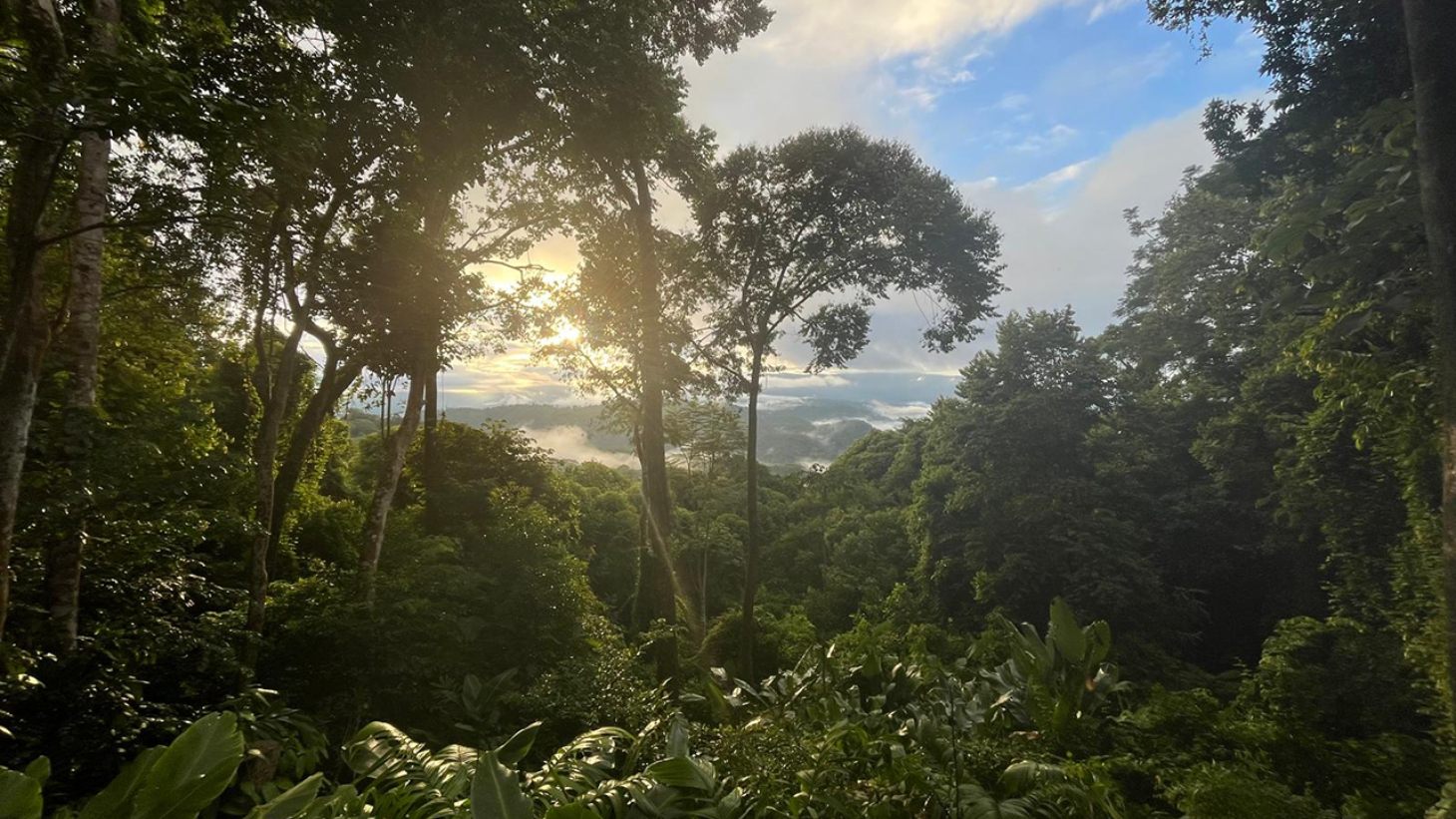Rainforest Retreat with a Forested Setting and Good Rental History in Lagunas selected