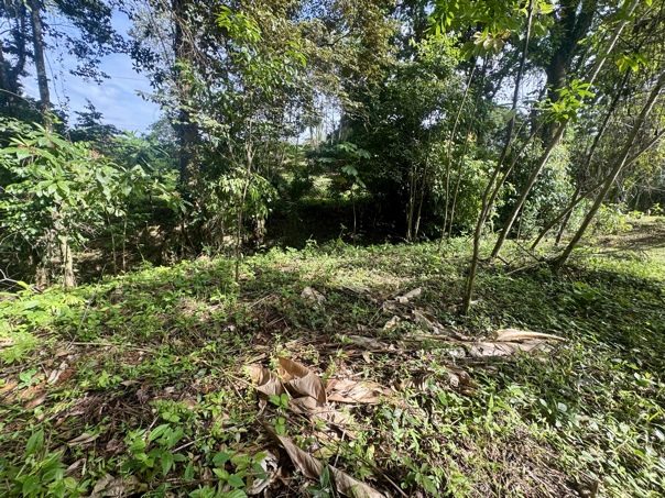 Exceptional Residential or Commercial Potential Property in Ojochal selected