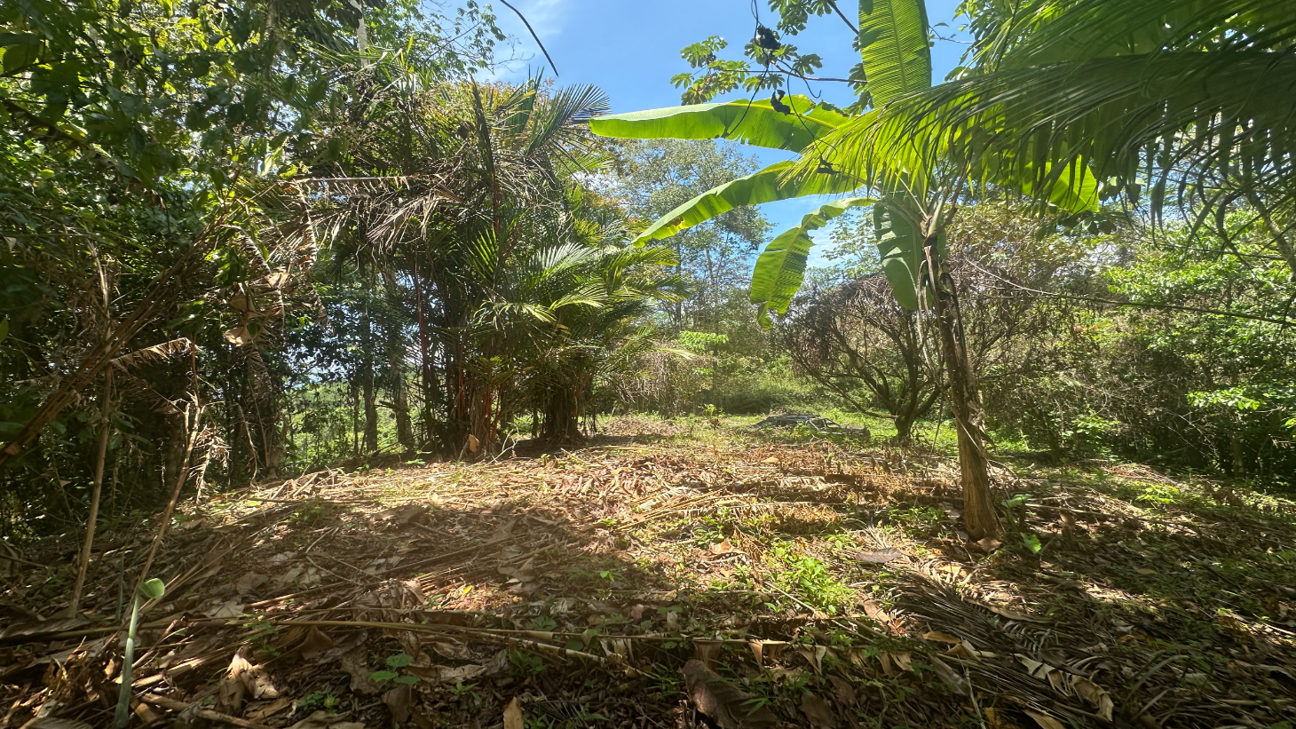 Ocean View Estate Lot with Private Waterfall – Uvita selected