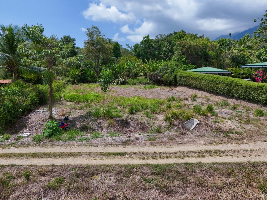 Central Ojochal Lot with Easy Access and Mountain Views selected