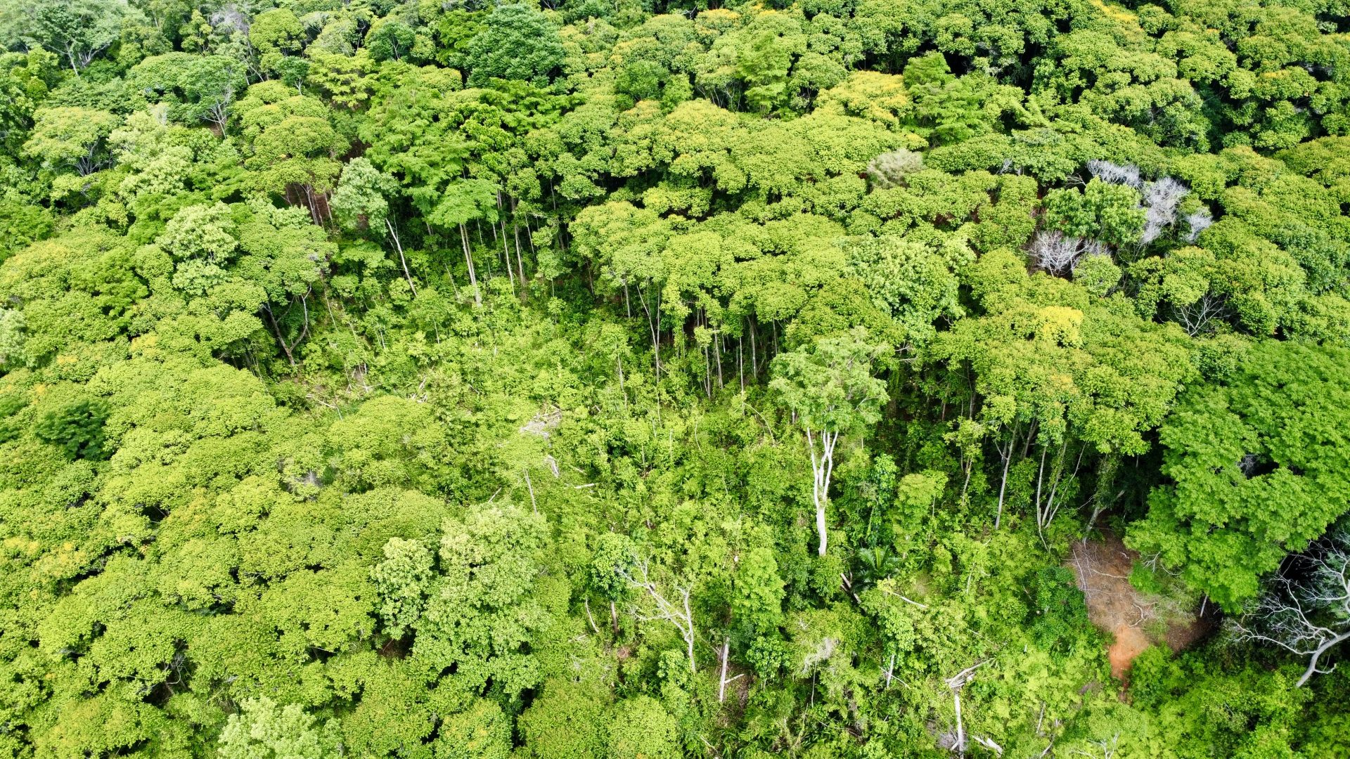 Exceptional 5.11-Acre Property in Lagunas selected