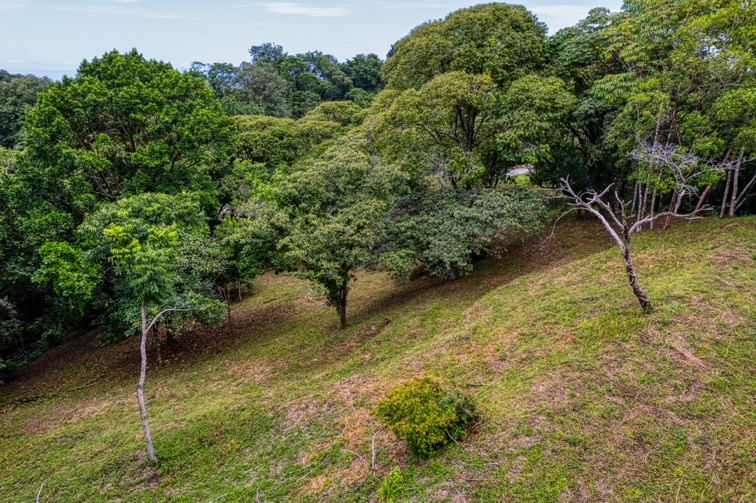 Highway Frontage Commercial and Residential Lot in Ojochal selected