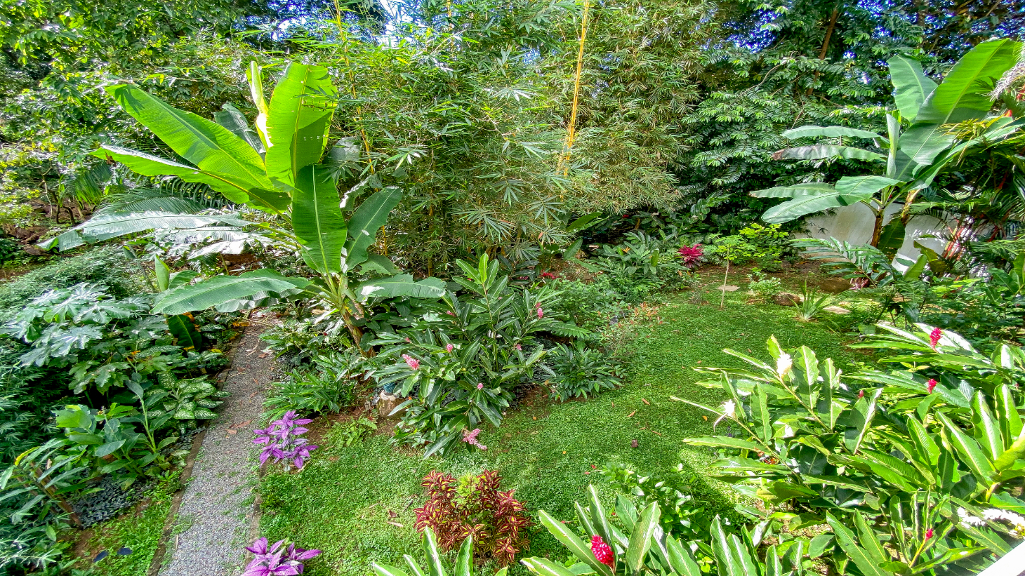 Tropical 4-Bedroom Home for Sale in Uvita | Pool & Airbnb Income selected