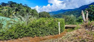 Breathtaking Ocean View Property in Sueños del Trópico – Chontales, Costa Rica image 4
