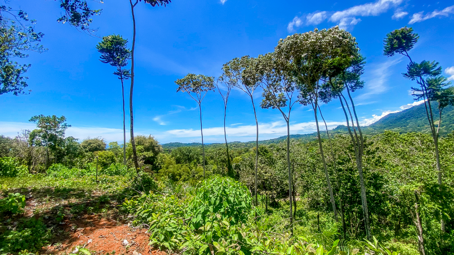 5.75 Acre Land for Sale in Ojochal | Ocean View Development Property selected