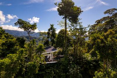 Turnkey Jungle-to-Ocean Investment with Proven Vacation Rental Performance image 5