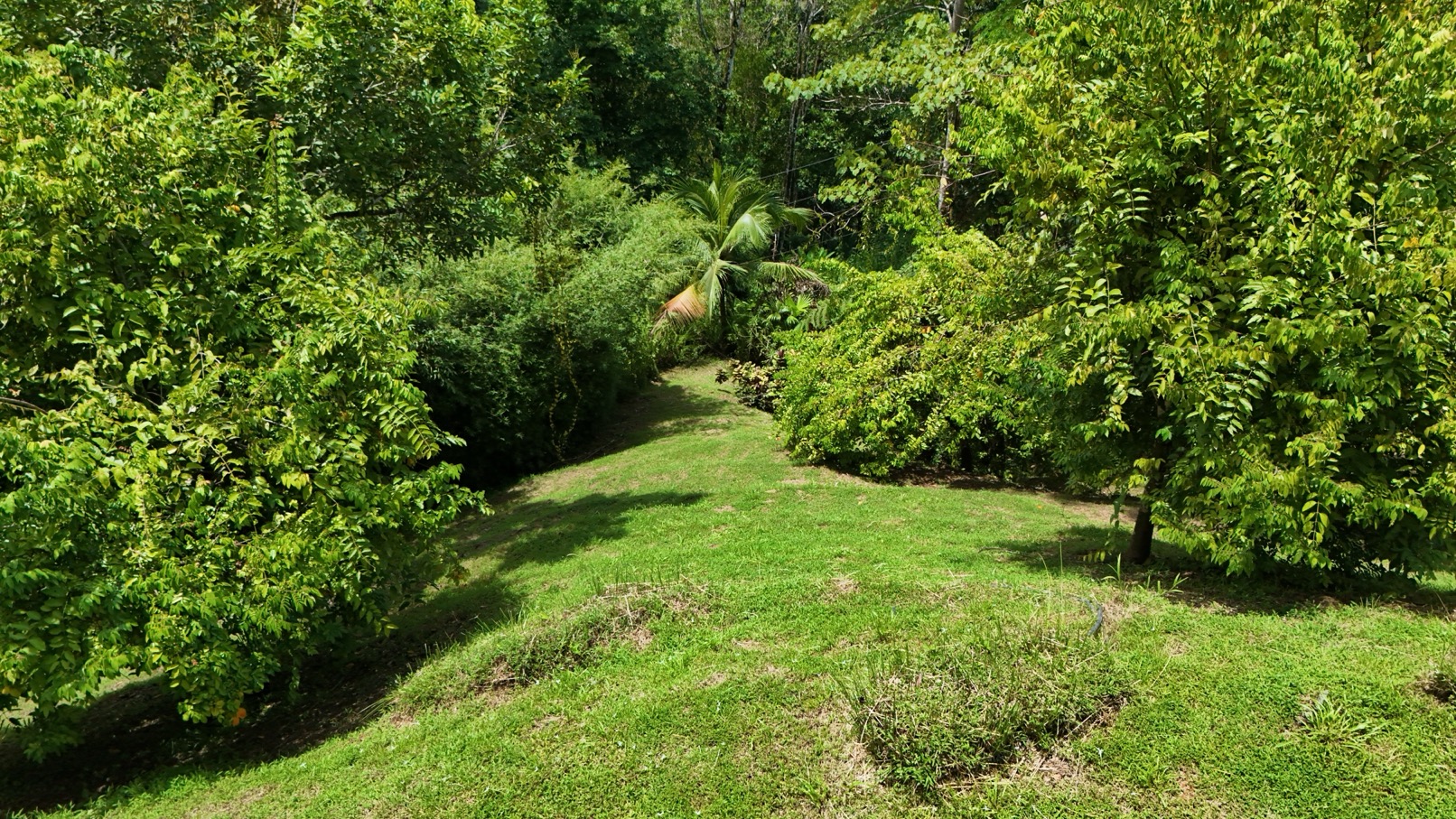 Expansive Oceanview Estate Lot in Uvita selected