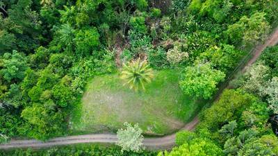 3.57-Acre Ocean View Estate Parcel with Creek & Sunset Exposure Near Dominical image 4