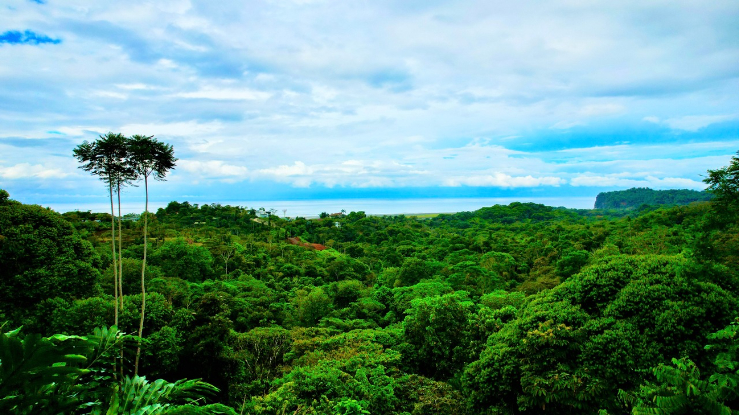 Iconic Ocean View Estate in Ojochal with 2 Guest Houses selected