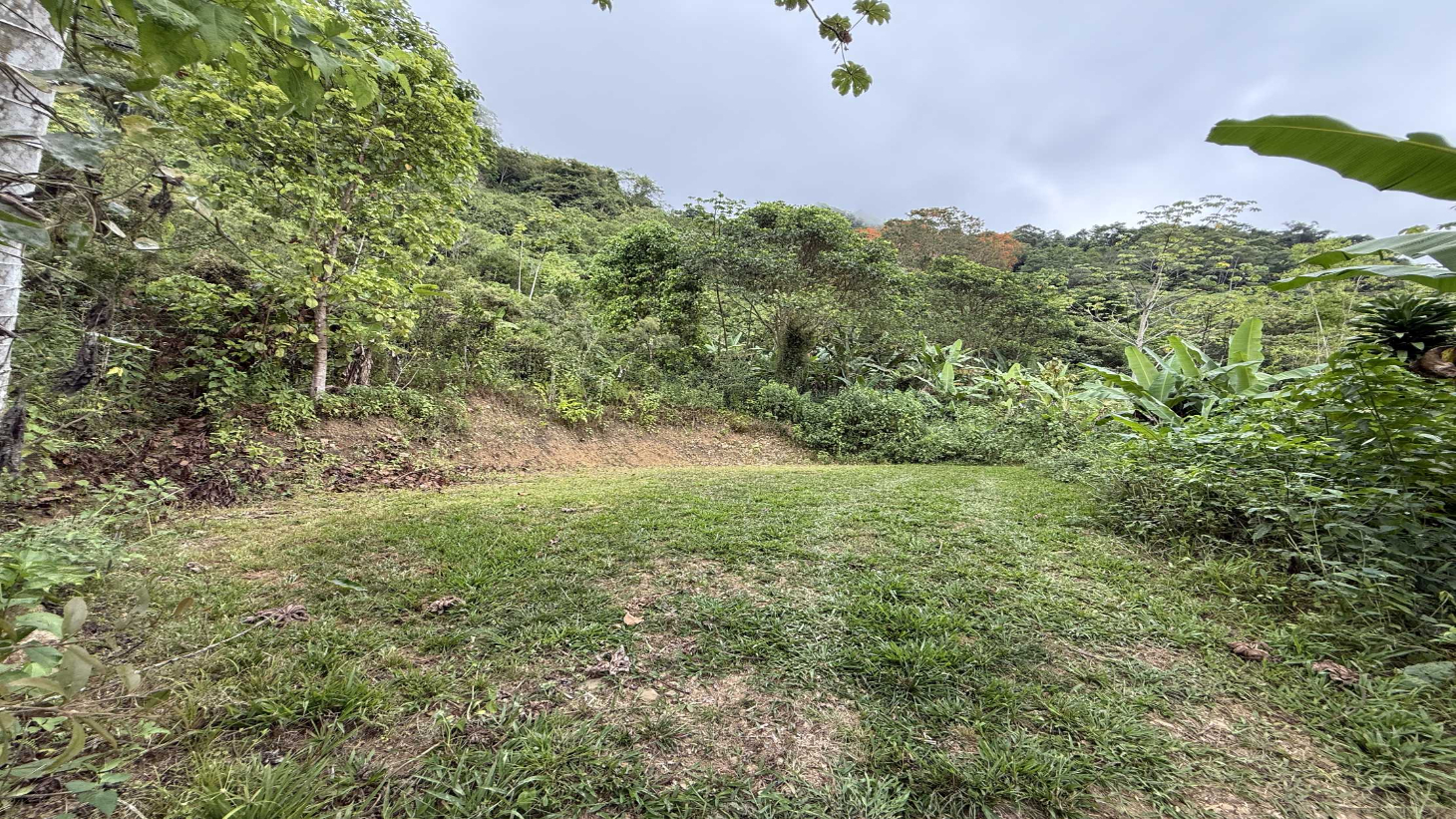 Jungle Lot with 3+ Building Sites, Legal Water, Electricity on Public Road with Big Valley & Mountain Views near San Josecito Costa Rica selected