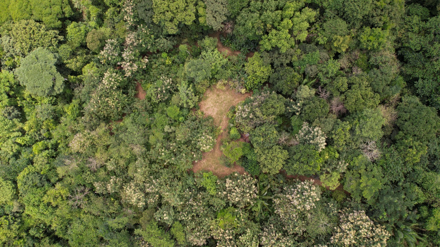 Stunning 16 acre Ocean View Property San Buenas, Costa Rica  selected