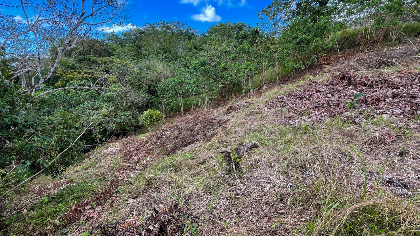 Ocean - Mountain View Lot for Sale in Ojochal, Costa Rica  selected