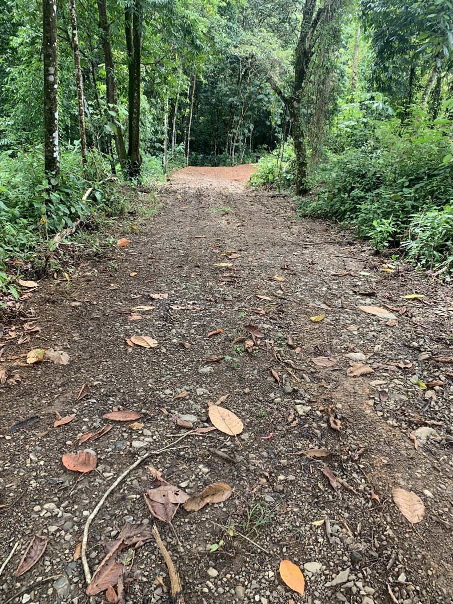 Discover Your Dream Lot in the Heart of Caracara Ridge, Ojochal selected