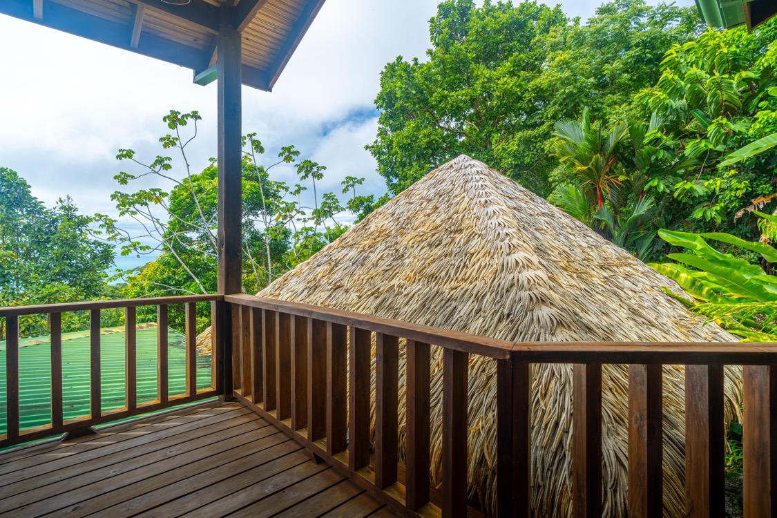 Ocean-View Estate with Guest Casita and Full Privacy in Perla de Ballena selected