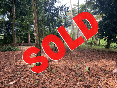 Private 2.4-Acre Oasis with Stream Border in Ojochal  image 1