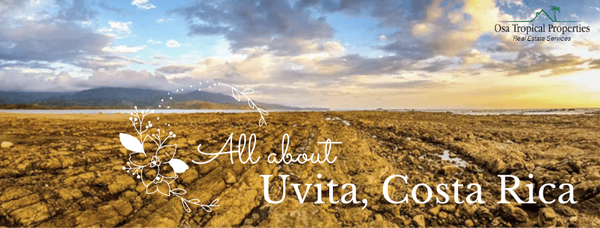 All About Uvita, Costa Rica