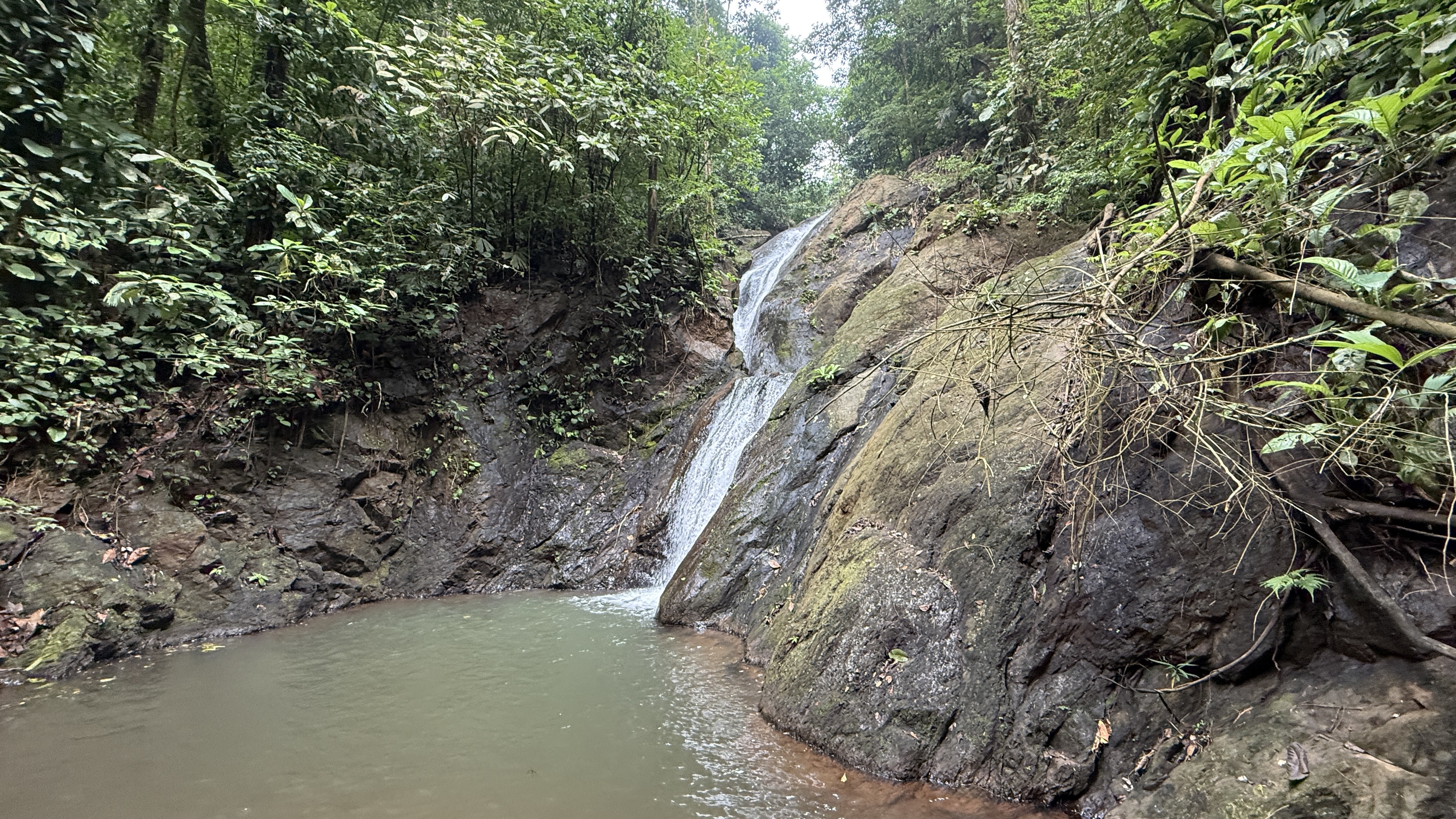 A Living Jungle Sanctuary on the River — 86 Hectares in Sabalo, Costa Rica selected