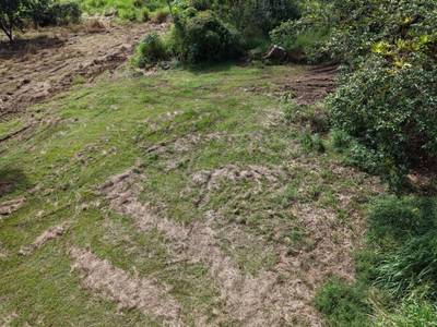 Caracara Ridge Lot #11 – Private Mountain View Homesite in Ojochal’s Premier Conservation Community image 4