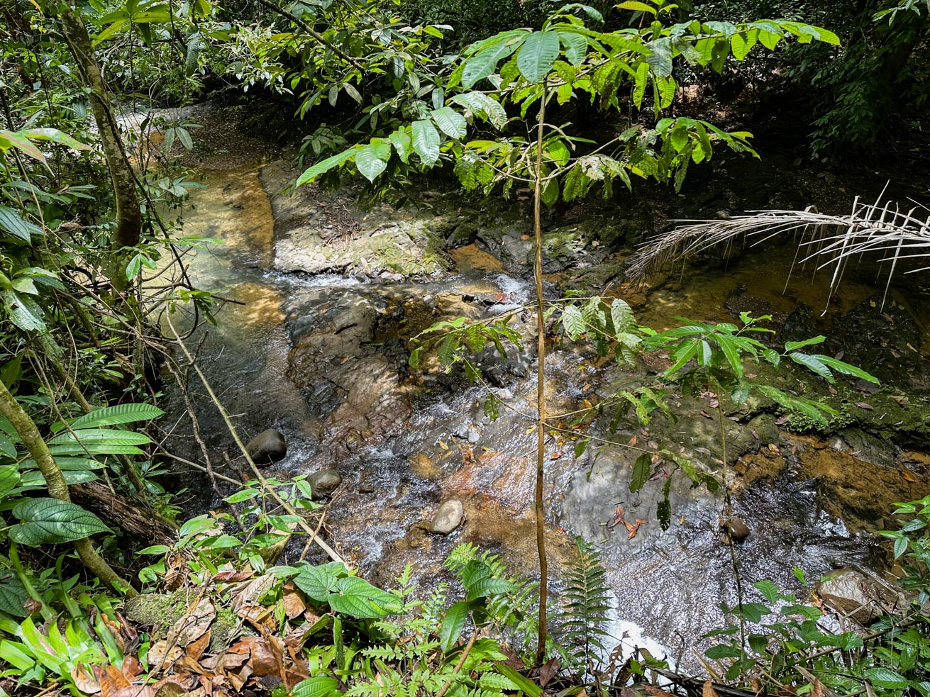 1-Bedroom Jungle River Retreat with Room to Build Your Dream Home in the Heart of Ojochal selected