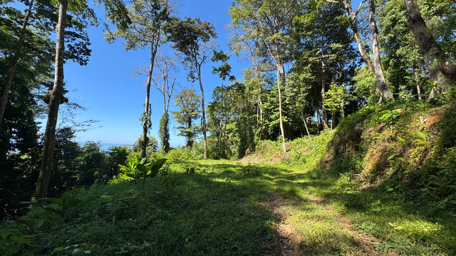 Two Ocean View Lots in Uvita – Easy Access and Large Building Sites selected