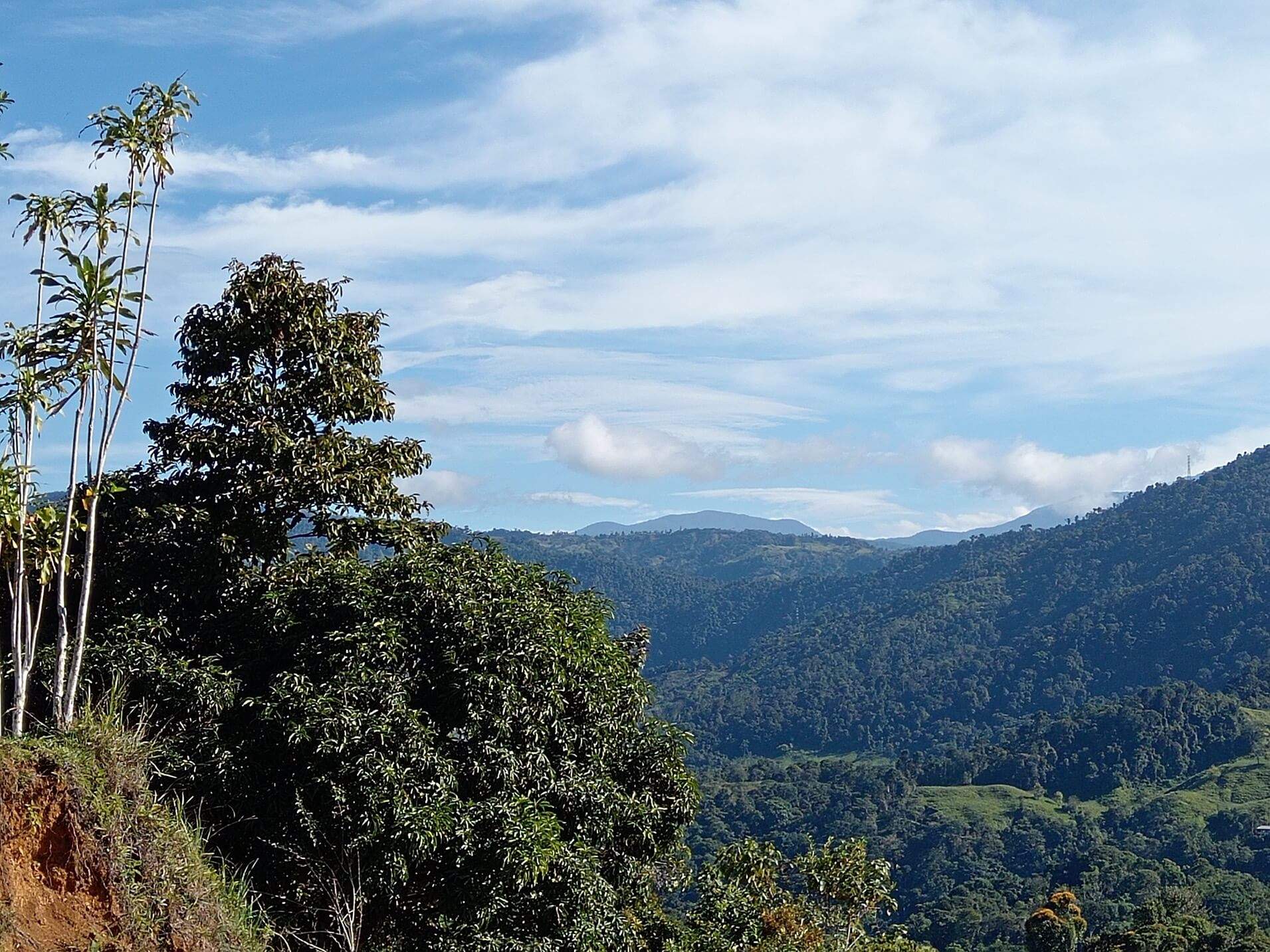 79Acre Farm In Tinamastes, Costa Rica