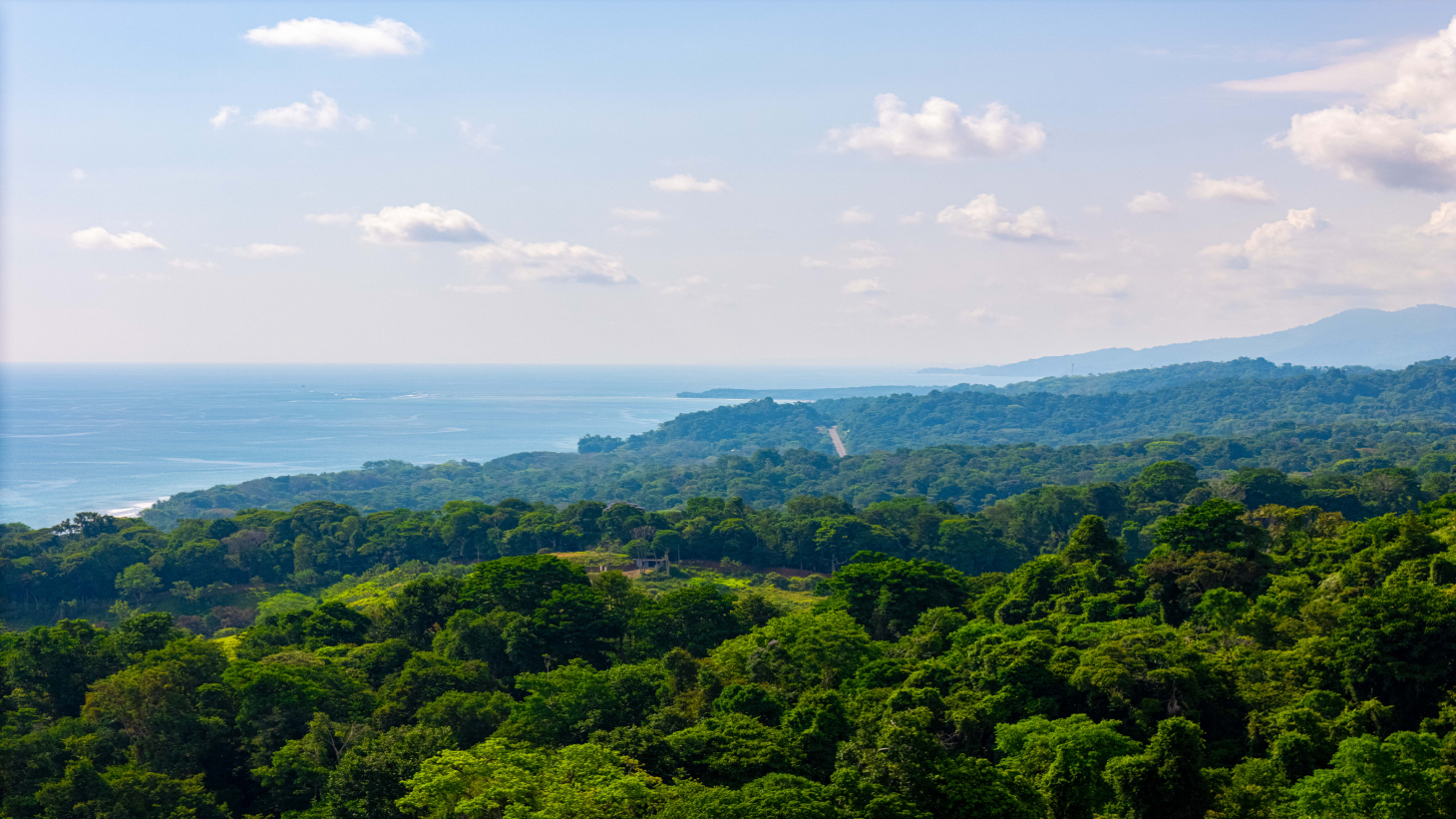 Luxury 4-Bed Home with Ocean & Jungle Views in Ojochal selected