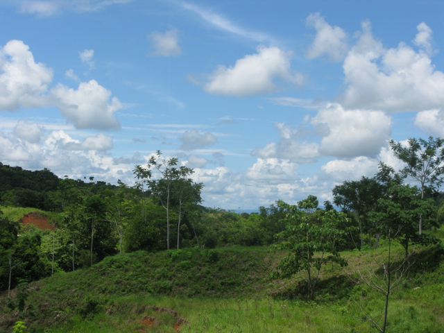 Exclusive Two-Lot Oasis in Gated Paradise – Build Your Dream Estate selected