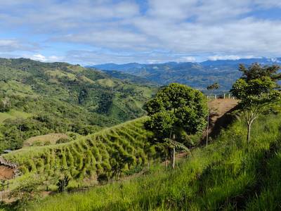 21 Acres With Stunning Mountain Views Near Dominical image 1