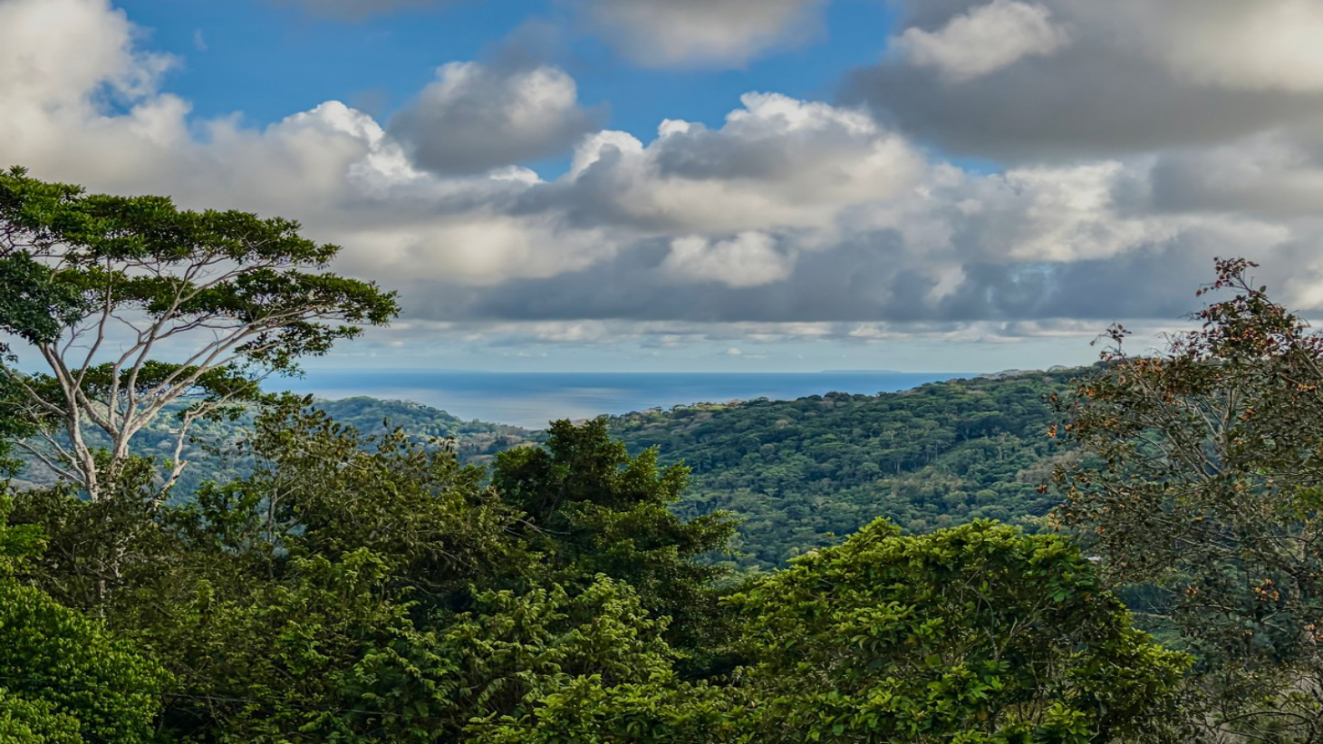 3.64 ACRES – 3 Bedroom Home With Expansive Ocean Views, Multiple Areas to Build, Public Road With Commercial Potential, 10min to the Beach!! selected
